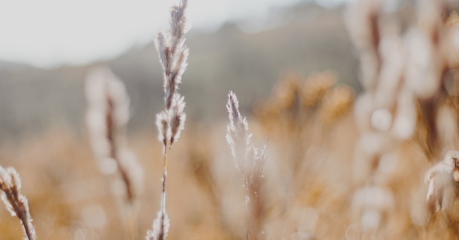 When Grief Is Invisible: 