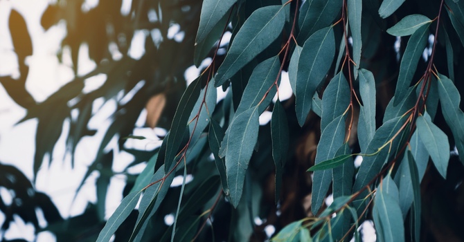 How Child-Centred Play Therapy Supports Children’s Emotional Well-Being