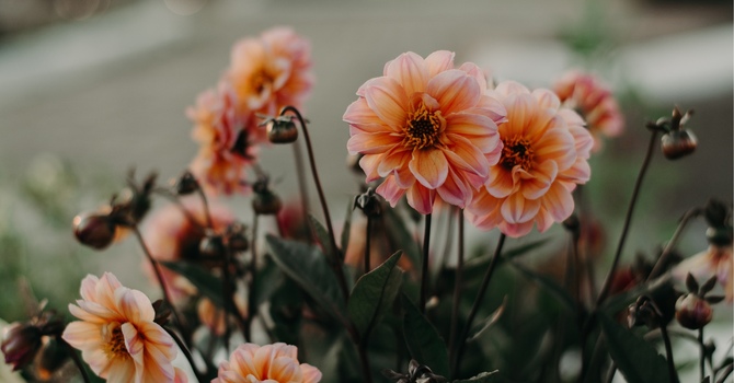 Stories, Scribbles, and Self-Expression:  image