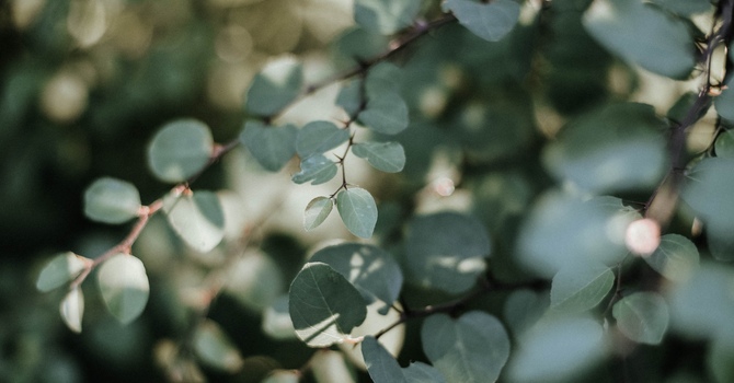 When Grief Is Invisible: 