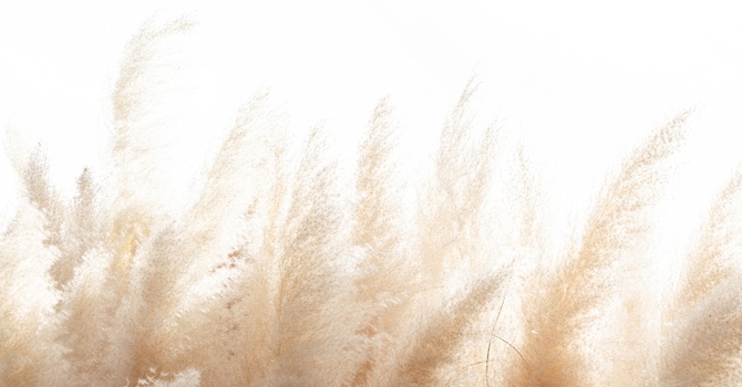 When Grief Is Invisible: 